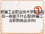 新疆工业职业技术学院毕业后一般能干什么呢(新疆工业职院就业去向)