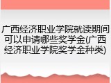 广西经济职业学院就读期间可以申请哪些奖学金(广西经济职业学院奖学金种类)