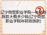 辽宁商贸职业学院一年财政拨款大概多少钱(辽宁商贸职业学院年财政拨款)