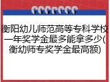衡阳幼儿师范高等专科学校一年奖学金最多能拿多少(衡幼师专奖学金最高额)