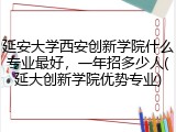 延安大学西安创新学院什么专业最好，一年招多少人(延大创新学院优势专业)