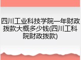 四川工业科技学院一年财政拨款大概多少钱(四川工科院财政拨款)