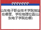 山东电子职业技术学院地址在哪里，学校地理位置(山东电子学院在哪)