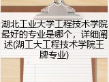 湖北工业大学工程技术学院最好的专业是哪个，详细阐述(湖工大工程技术学院王牌专业)