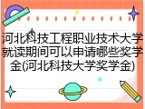 河北科技工程职业技术大学就读期间可以申请哪些奖学金(河北科技大学奖学金)