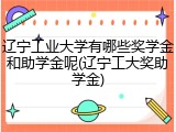 辽宁工业大学有哪些奖学金和助学金呢(辽宁工大奖助学金)