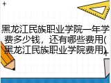 黑龙江民族职业学院一年学费多少钱，还有哪些费用(黑龙江民族职业学院费用)