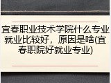 宜春职业技术学院什么专业就业比较好，原因是啥(宜春职院好就业专业)
