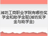 潍坊工商职业学院有哪些奖学金和助学金呢(潍坊奖学金与助学金)