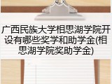 广西民族大学相思湖学院开设有哪些奖学和助学金(相思湖学院奖助学金)