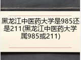 黑龙江中医药大学是985还是211(黑龙江中医药大学属985或211)