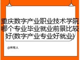 重庆数字产业职业技术学院哪个专业毕业就业前景比较好(数字产业专业好就业)