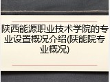 陕西能源职业技术学院的专业设置概况介绍(陕能院专业概况)