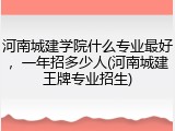河南城建学院什么专业最好，一年招多少人(河南城建王牌专业招生)