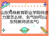 山东特殊教育职业学院师资力量怎么样，名气如何(山东特教师资名气)