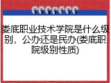 娄底职业技术学院是什么级别，公办还是民办(娄底职院级别性质)