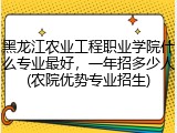 黑龙江农业工程职业学院什么专业最好，一年招多少人(农院优势专业招生)