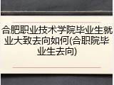 合肥职业技术学院毕业生就业大致去向如何(合职院毕业生去向)