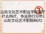 山东文化艺术职业学院属于什么档次，专业排行分析(山东文化艺术职院档次)