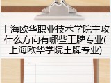 上海欧华职业技术学院主攻什么方向有哪些王牌专业(上海欧华学院王牌专业)