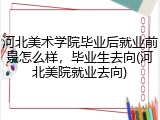 河北美术学院毕业后就业前景怎么样，毕业生去向(河北美院就业去向)