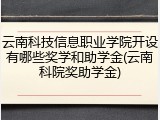云南科技信息职业学院开设有哪些奖学和助学金(云南科院奖助学金)