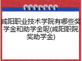 咸阳职业技术学院有哪些奖学金和助学金呢(咸阳职院奖助学金)