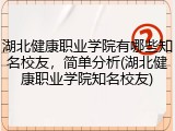 湖北健康职业学院有哪些知名校友，简单分析(湖北健康职业学院知名校友)