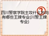 四川警察学院主攻什么方向有哪些王牌专业(川警王牌专业)