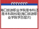 海口旅游职业学院是专科还是本科院校呢(海口旅游职业学院学历层次)