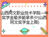 山西同文职业技术学院一年奖学金最多能拿多少(山西同文奖学金上限)