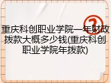 重庆科创职业学院一年财政拨款大概多少钱(重庆科创职业学院年拨款)