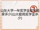 山东大学一年奖学金最多能拿多少(山大最高奖学金多少)