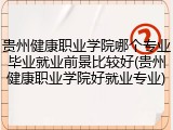 贵州健康职业学院哪个专业毕业就业前景比较好(贵州健康职业学院好就业专业)
