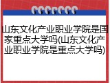 山东文化产业职业学院是国家重点大学吗(山东文化产业职业学院是重点大学吗)
