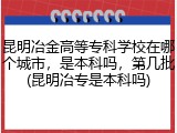 昆明冶金高等专科学校在哪个城市，是本科吗，第几批(昆明冶专是本科吗)