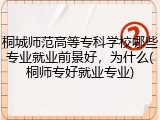 桐城师范高等专科学校哪些专业就业前景好，为什么(桐师专好就业专业)