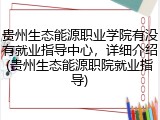 贵州生态能源职业学院有没有就业指导中心，详细介绍(贵州生态能源职院就业指导)