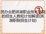 民办合肥滨湖职业技术学院的招生人数和计划解读(滨湖职院招生计划)