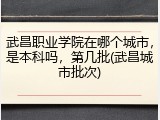 武昌职业学院在哪个城市，是本科吗，第几批(武昌城市批次)