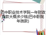 巴中职业技术学院一年财政拨款大概多少钱(巴中职院年拨款)