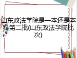 山东政法学院是一本还是本科第二批(山东政法学院批次)