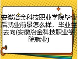 安徽冶金科技职业学院毕业后就业前景怎么样，毕业生去向(安徽冶金科技职业学院就业)