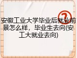 安徽工业大学毕业后就业前景怎么样，毕业生去向(安工大就业去向)