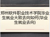 郑州软件职业技术学院毕业生就业大致去向如何(毕业生就业去向)