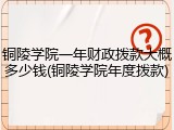 铜陵学院一年财政拨款大概多少钱(铜陵学院年度拨款)