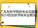 广东东软学院的专业设置概况介绍(东软学院专业概况)