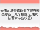 云南司法警官职业学院有哪些专业，几个校区(云南司法警官专业校区)