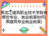 黑龙江建筑职业技术学院有哪些专业，就业前景如何(黑建筑专业就业前景)