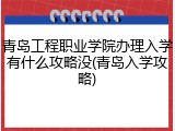 青岛工程职业学院办理入学有什么攻略没(青岛入学攻略)